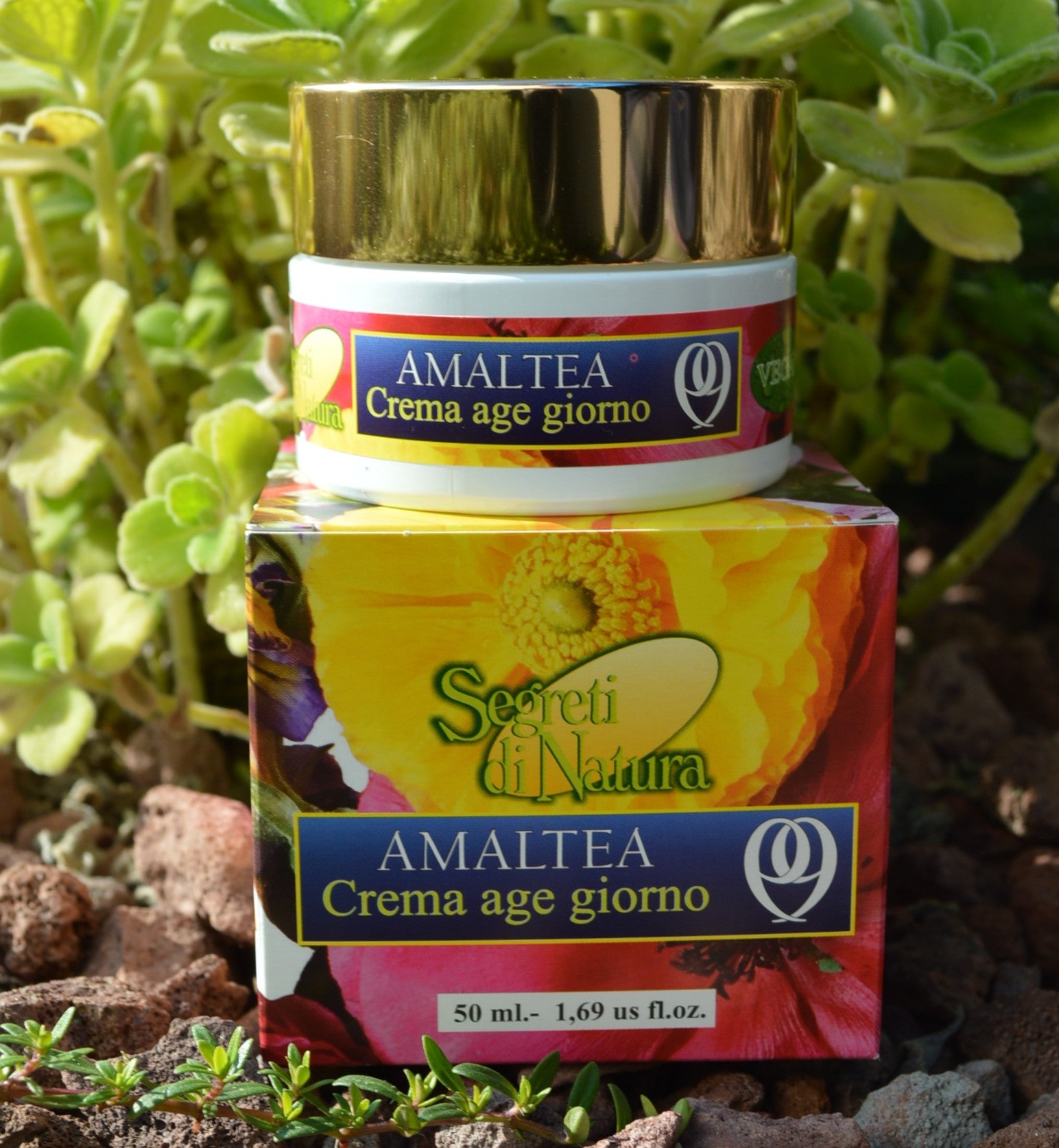 Crema age giorno AMALTEA